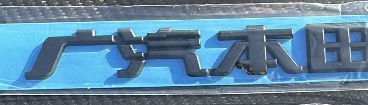 2022-2025 11th Gen Civic Black Out Rear Emblems